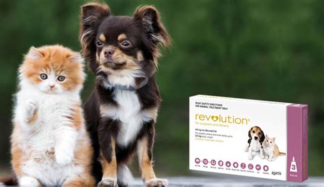 Revolution for Pets - Benefits and Side Effects