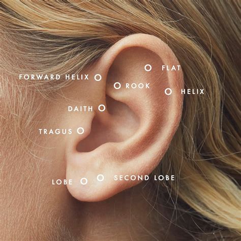 piercing  helix ennui atelier