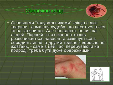 Кліщі - презентація з біології