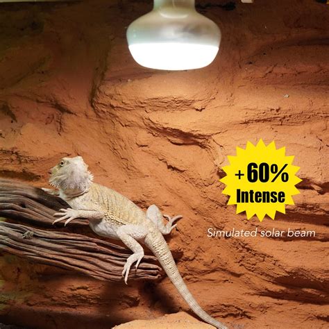 Snapklik.com : Basking Light For Reptiles, 2-Pack 100W Upgraded Intense