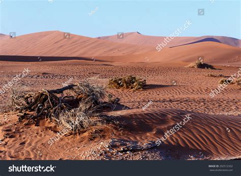 Desolate places Images, Stock Photos & Vectors | Shutterstock