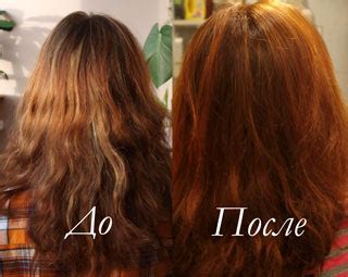 Как покрасить волосы хной и басмой — LadyWow