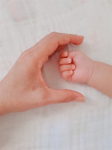 Mother and Baby Hands Together · Free Stock Photo