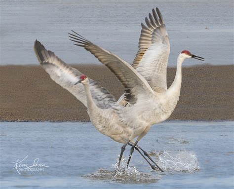 Capture the Massive Scale and Beauty of Cranes and Heavy Machinery with