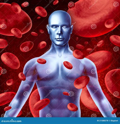 Human blood stock illustration. Illustration of mucles - 21588378