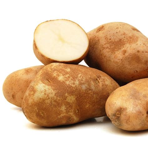 pommes de terrepatates rickey russet pour le jardin sac lbs