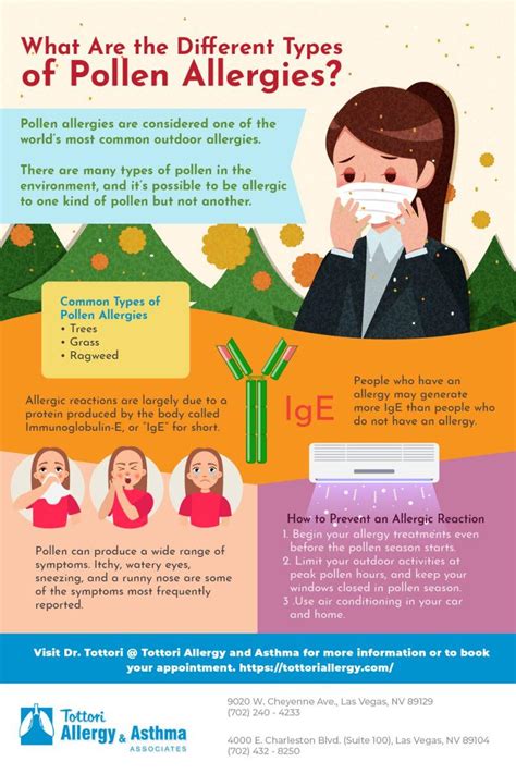 What Are the Different Types of Pollen Allergies? - Tottori Allergy ...