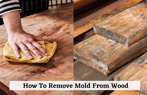how to clean mold mildew from wood