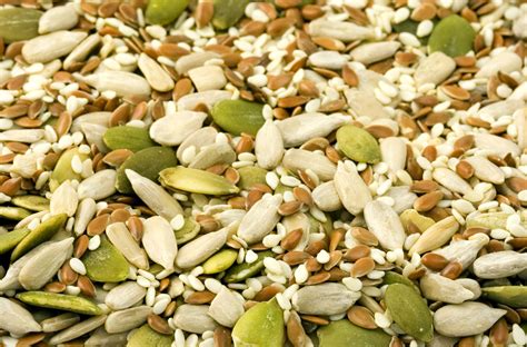 seeds  stock photo public domain pictures