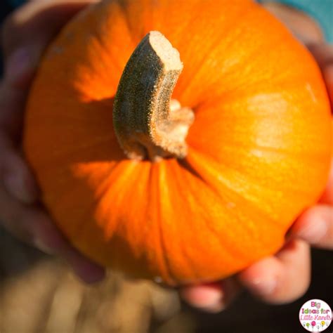 pumpkin activities  kindergarten big ideas   hands