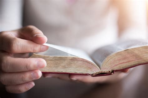 A Palavra De Deus Não Volta Vazia