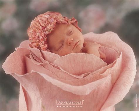 Cutest baby on the planet | Anne geddes, Baby pictures, Geddes