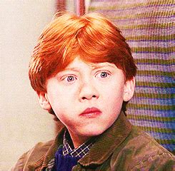 Surprised Harry Potter GIF - Find & Share on GIPHY