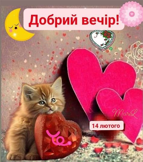 Создать мем "хорошего вечера, добрый вечер красивые, доброго вечера ...