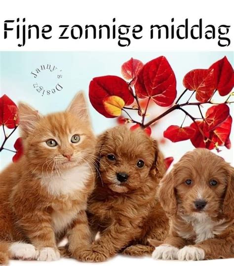 Épinglé par Martha Rensink sur middag plaatjes.