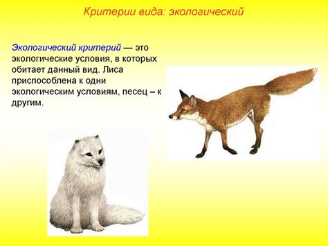 Вид. Критерии вида - презентация онлайн