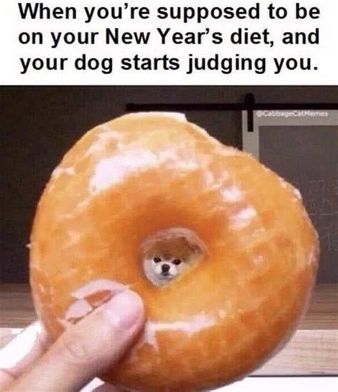 I always feel like somebody’s watching me : r/MadeMeSmile