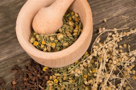 ПРОТИВОПАРАЗИТАРНЫЕ РАСТЕНИЯ | Блог | Здоровые продукты от «Живой ...