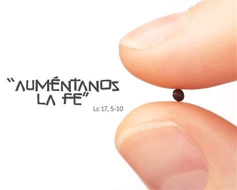 Parroquia - Domingo 5 de Octubre del 2025, XXVII semana del Tiempo