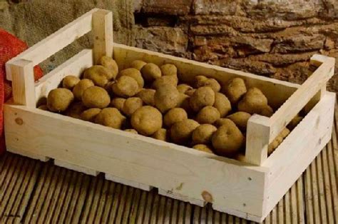 Хранение картофеля зимой в погребе или на балконе