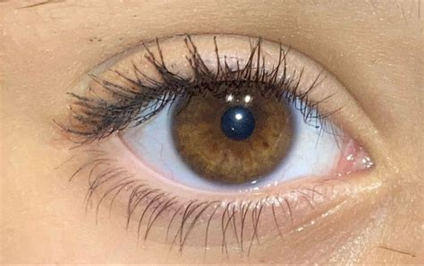 pin  keigane  gab inspo brown eyes aesthetic beautiful brown