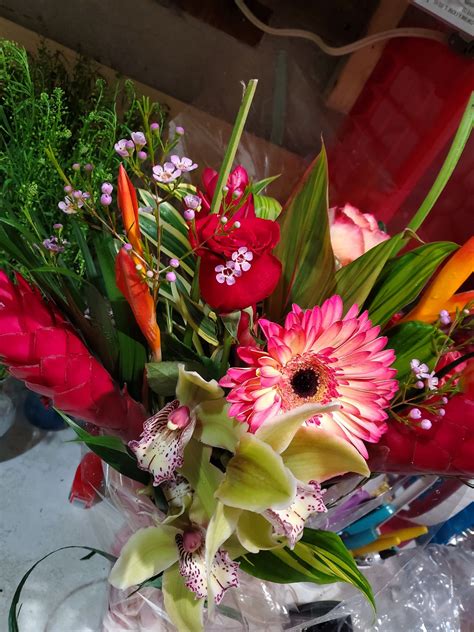 Judy's Blooms (@judysblooms) • Instagram photos and videos