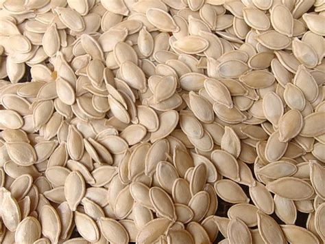 Pumpkin Seeds - Free photo on Pixabay - Pixabay