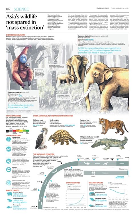 Straits Times Standalone Graphic