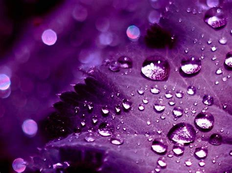Cute Purple Backgrounds - Wallpaper Cave