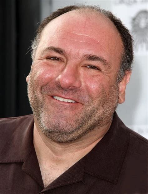 James Gandolfini | Disney Wiki | Fandom