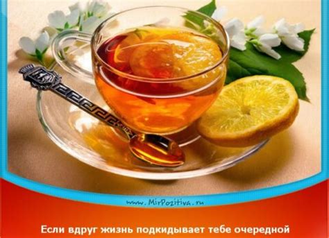 Как сделать красивое селфи правильно: лучшие советы