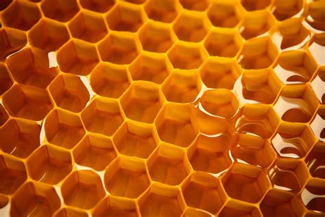 bee hive pattern stock  images  backgrounds
