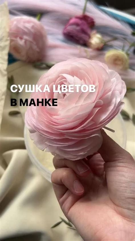 Сушка цветов в манке | Засушивание цветов, Засушенные цветы, Сухие цветы