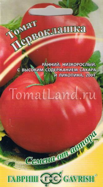 Томат Первоклашка: описание сорта, ОТЗЫВЫ (15), фото