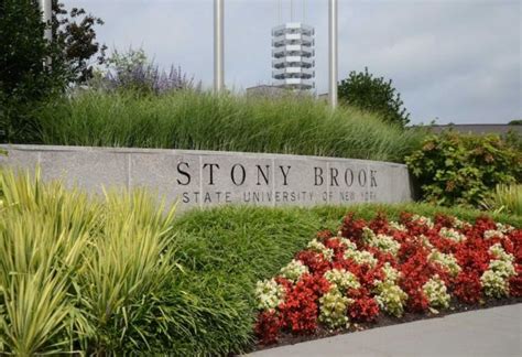 Stony Brook Shines in Recent College Rankings - SBU News