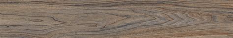 ALPINE HONEY - epsilontile