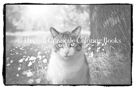 Downloadable Grayscale Coloring Pack: Three Cat Pages from Beautiful ...