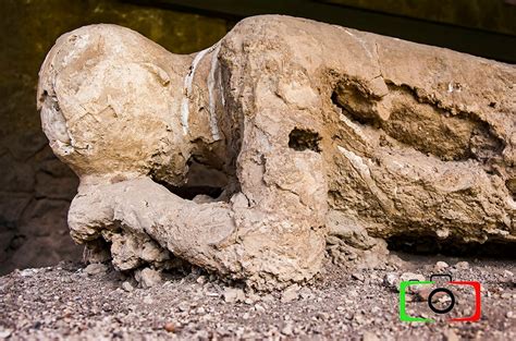 Photography Pompeii's Body, Roman, Archaeology in Pompeii, Italy - Etsy
