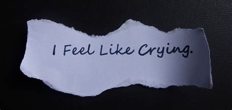 Feel Like Crying Quotes. QuotesGram