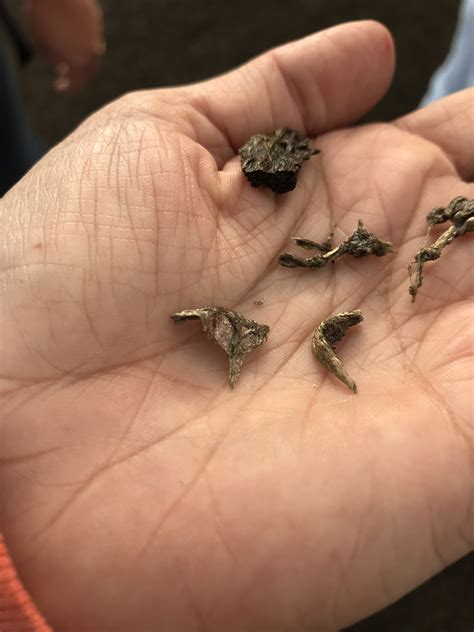 Tephra from Kīlauea Volcano’s summit eruption | U.S. Geological Survey