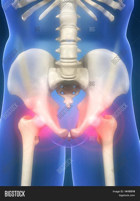 Hip Image & Photo (Free Trial) | Bigstock