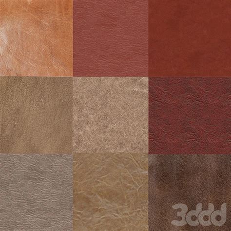 кожа - Кожа - 3D модель
