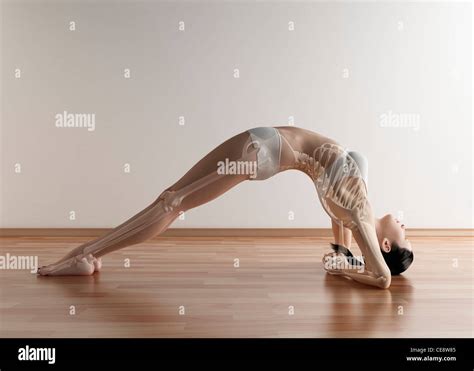 Yoga, computer artwork Stock Photo - Alamy