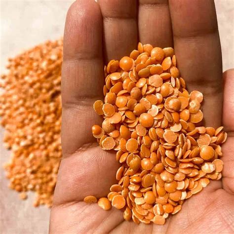 guide   dal varieties  indian cooking
