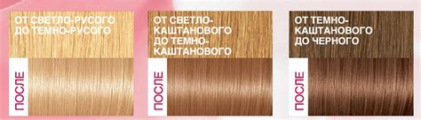 Краска Лореаль 8.12 Мистический Блонд Отзывы Фото — Картинки фотографии