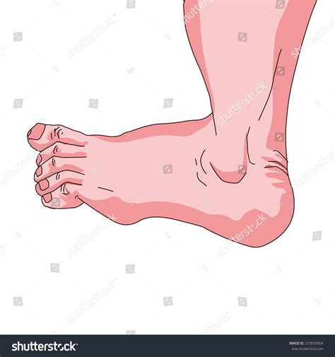 Foot Vector Illustration Stock Vector (Royalty Free) 273059054
