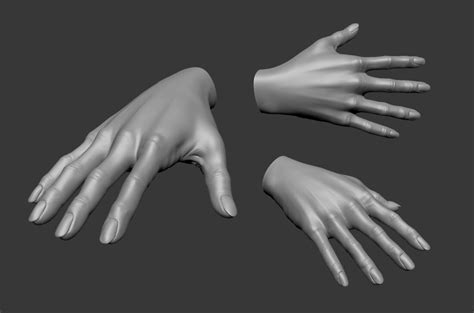 artstation female hand  model resources