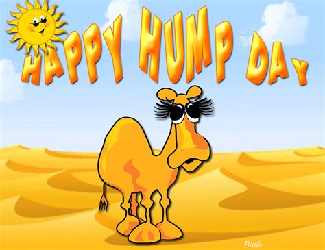Happy Hump Day Quote With Camel Pictures, Photos, and Images for ...