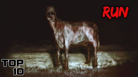Top 10 Scary Skinwalker Urban Legends | Marathon - YouTube