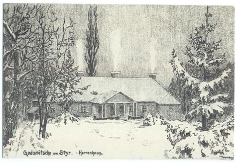 Шельман Ернст
